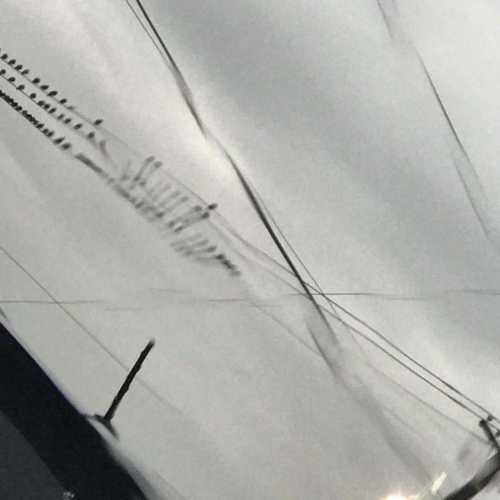 Meet your Posher, Connie